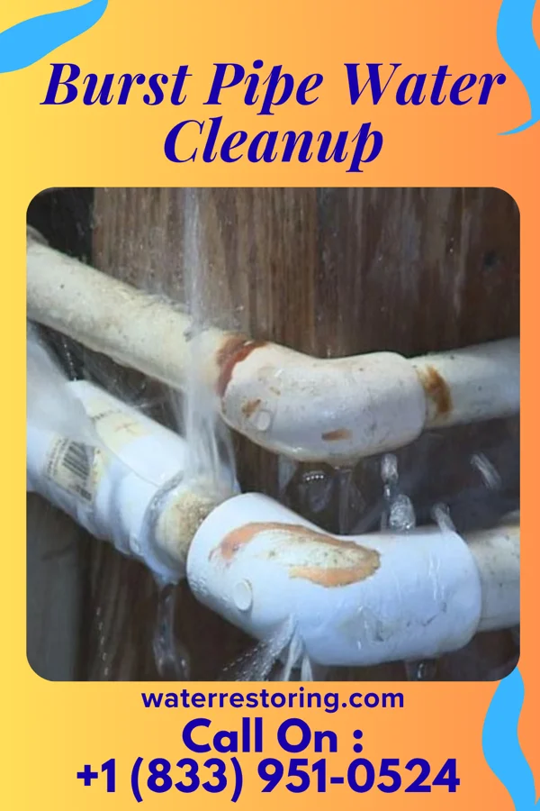 Burst Pipe Water Cleanup in Hales Corners, WI