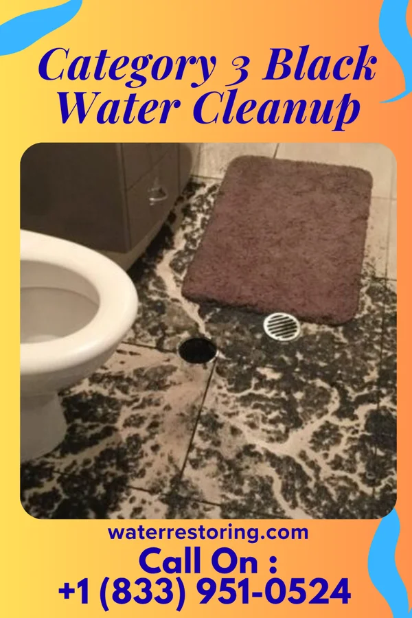 Category 3 Black Water Cleanup in Hales Corners, WI
