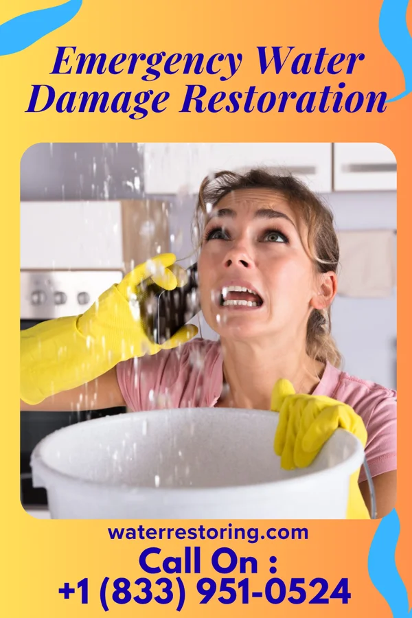 Emergency Water Damage Restoration in Hales Corners, WI