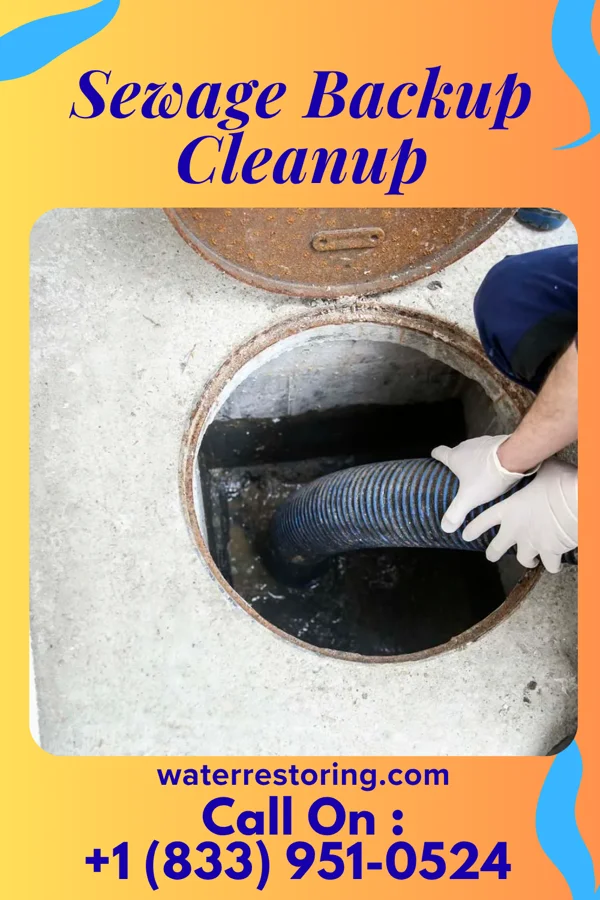 Sewage Backup Cleanup in Hales Corners, WI
