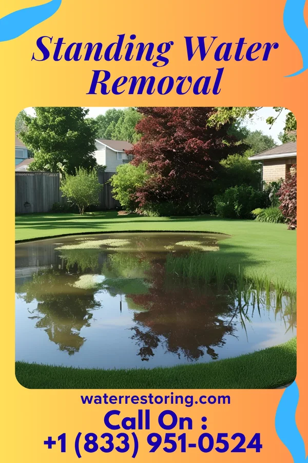 Standing Water Removal in Hales Corners, WI